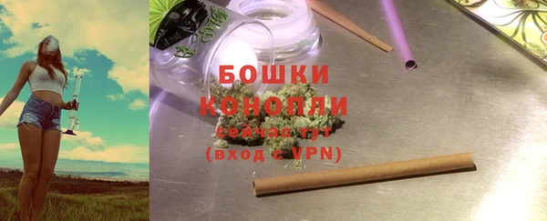 ГАЛЛЮЦИНОГЕННЫЕ ГРИБЫ Лихославль