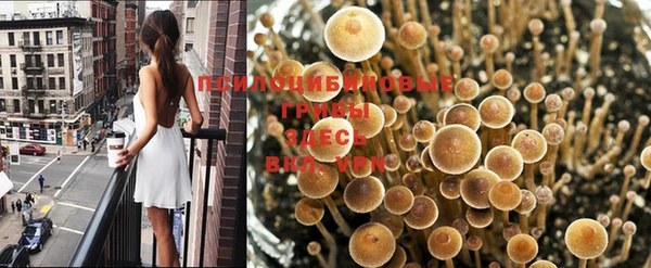 ГАЛЛЮЦИНОГЕННЫЕ ГРИБЫ Лихославль