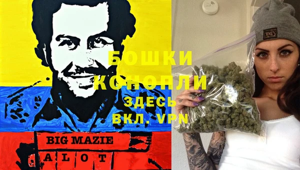 ГАЛЛЮЦИНОГЕННЫЕ ГРИБЫ Лихославль