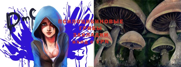 ГАЛЛЮЦИНОГЕННЫЕ ГРИБЫ Лихославль