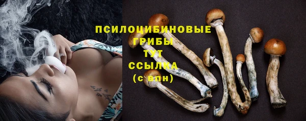 дурь Лиски