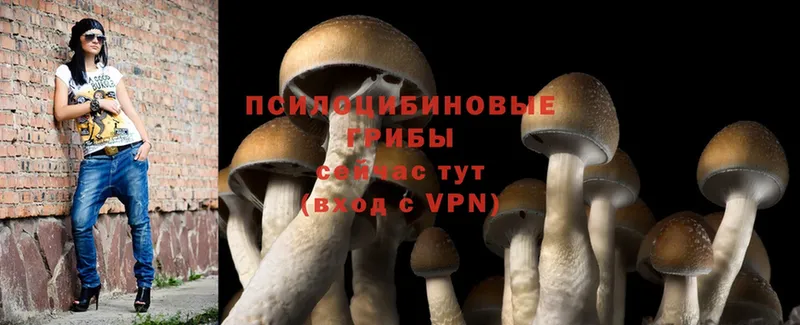 Галлюциногенные грибы Cubensis  Орлов 