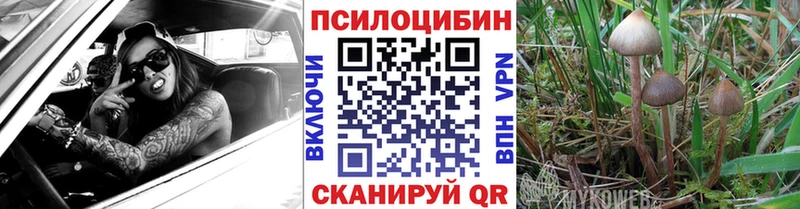 что такое наркотик  Орлов  Псилоцибиновые грибы мухоморы 